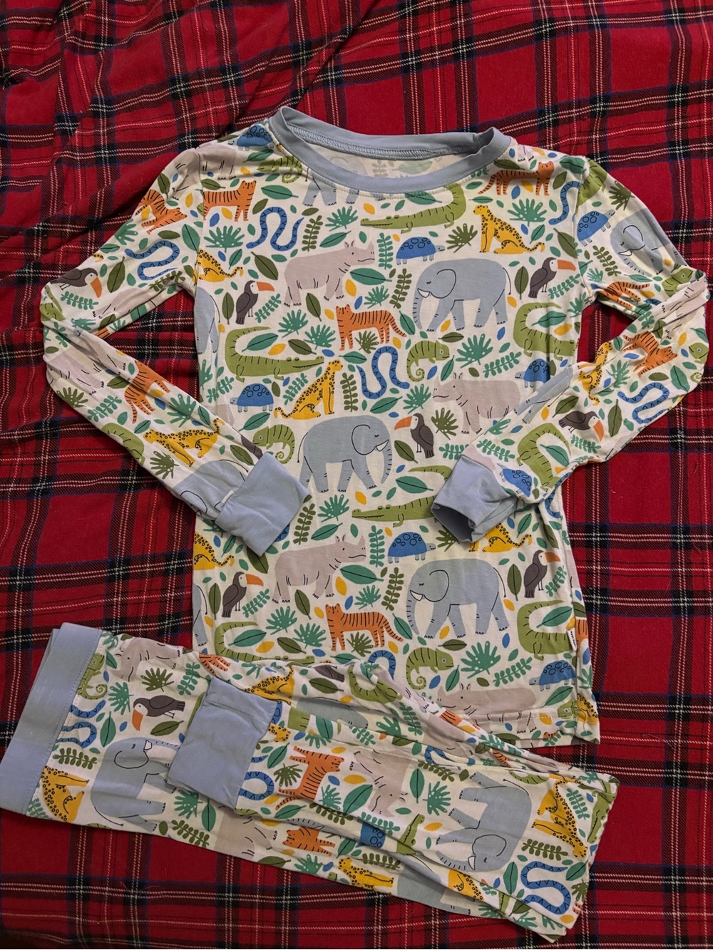 Kids Long Sleeve Pajama Set